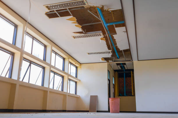 Best Flooded house restoration  in Coudersport, PA
