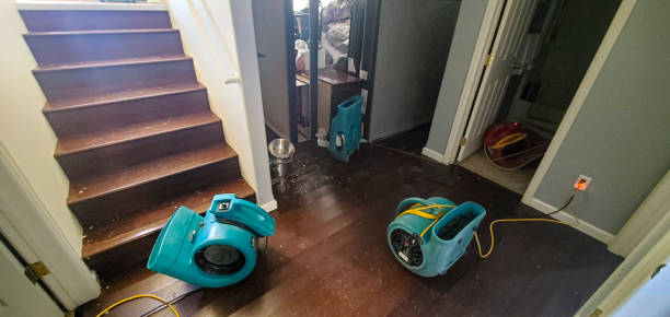 Best Commercial water damage restoration  in Coudersport, PA