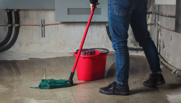 Best Mold removal after water damage  in Coudersport, PA