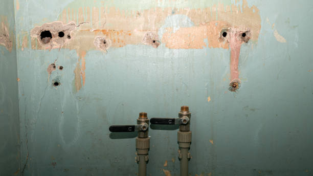  Coudersport, PA Water damage restoration Pros