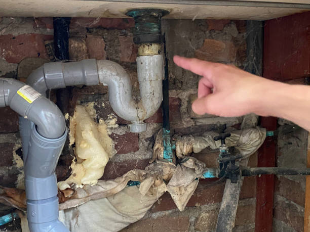 Best Water damage restoration cost  in Coudersport, PA